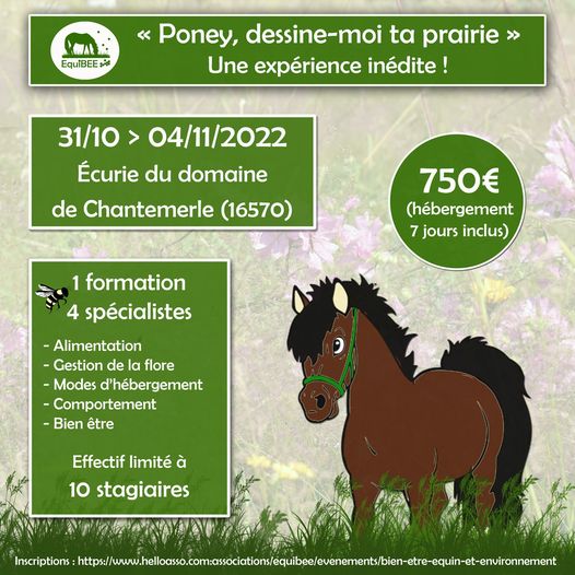 poney dessine moi ta prairie